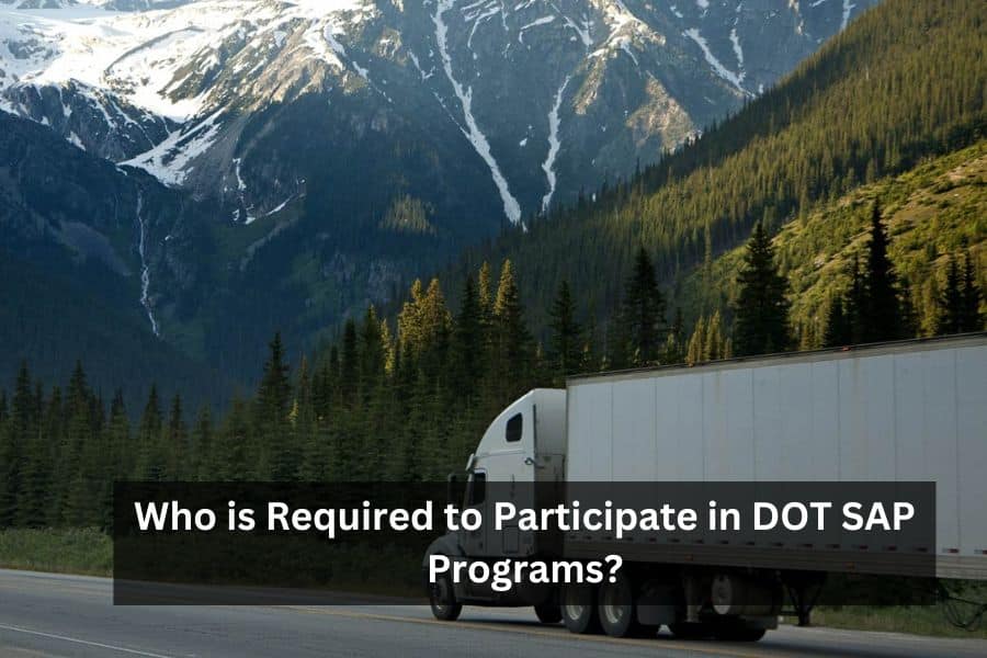 DOT SAP Programs