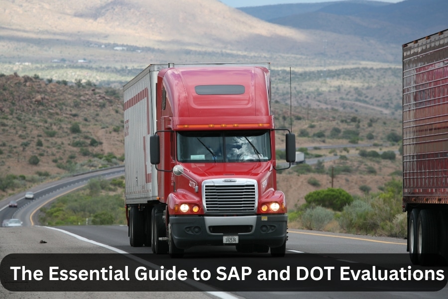 SAP Evaluation