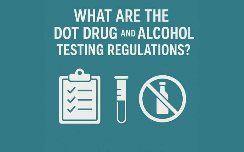 What are the DOT drug and alcohol testing regulations?