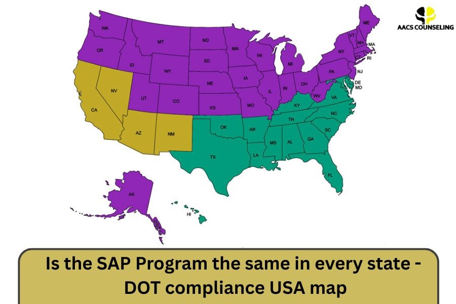 DOT SAP program counseling session across all states