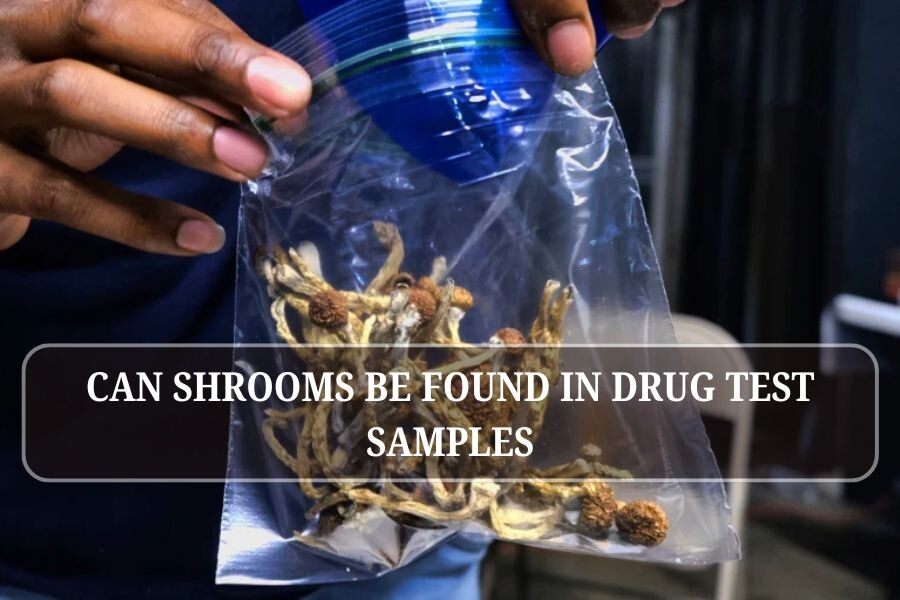 can psilocybin be detected in drug tests in 2025