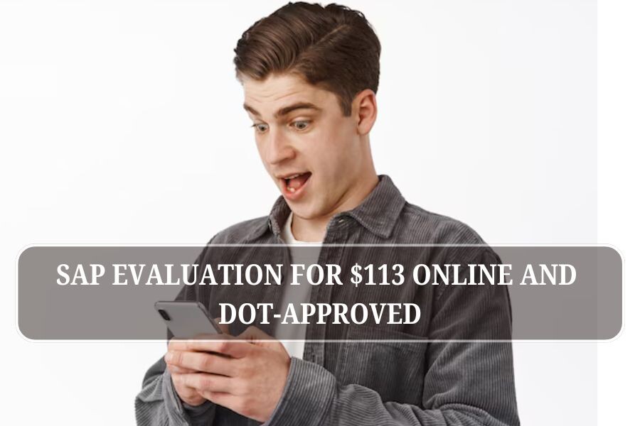 SAP evaluation for $113 online and DOT-approved