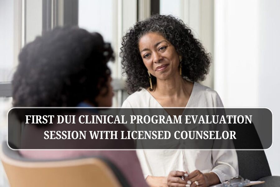 First DUI clinical program evaluation session with licensed counselor