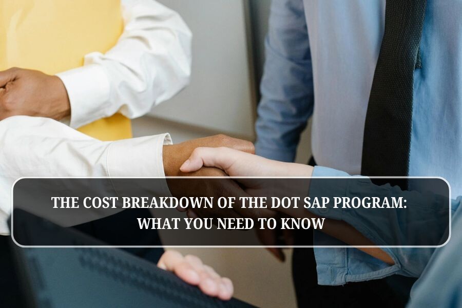 Detailed Cost Breakdown of the DOT SAP Program