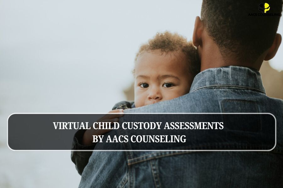 Virtual Child Custody Assessments