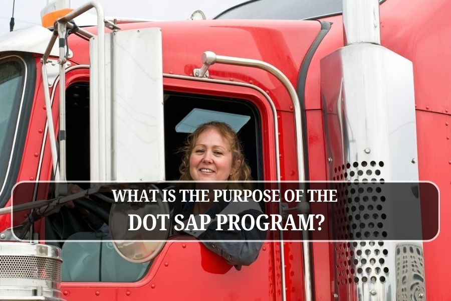 What is the Purpose of the DOT SAP Program?